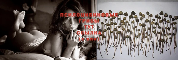 прущая мука Сосновоборск