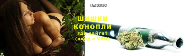 соль ск Струнино