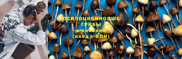 ешки Ступино
