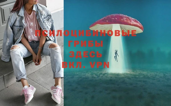 соль ск Струнино