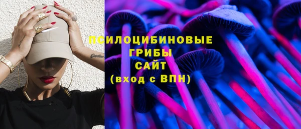 прущие грибы Строитель