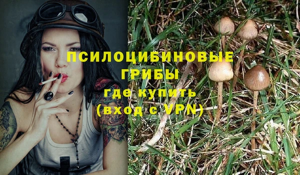 прущие грибы Строитель