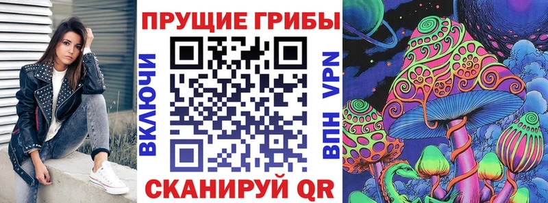 Псилоцибиновые грибы Cubensis Усмань